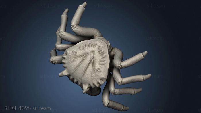 3D model Beast Crab (STL)