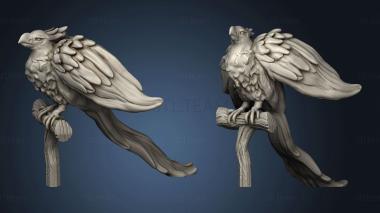 3D model Beast Phoenix (STL)