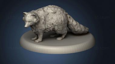 3D model Beast Raccoon (STL)