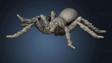 3D model Feywood Stretch Goals Giant Wolf Spider (STL)