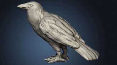 3D model Forest Crow (STL)