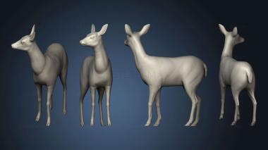 3D model Forest Deer (STL)