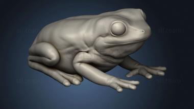 3D model Forest Frog (STL)