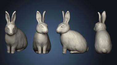 3D model Forest Rabbit (STL)