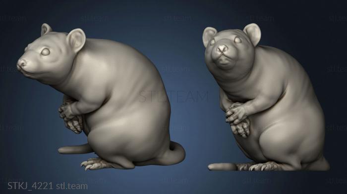 3D model Forest Rat (STL)