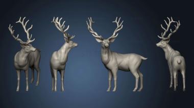 3D model Forest Stag (STL)