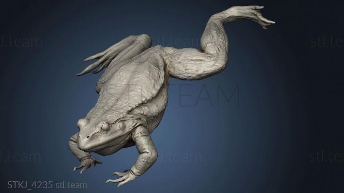 3D model Frog Land Full (STL)