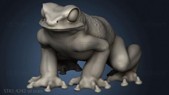 3D model Frogs Duncan Shadow Frog (STL)