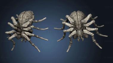 3D model Giant Forest Spider (STL)