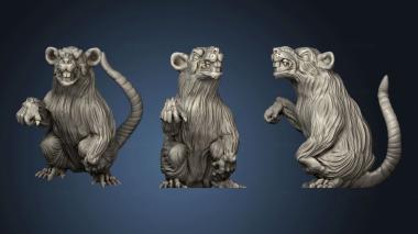 3D model Giant Rat (STL)