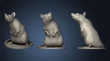 3D model Graveyard Rat (STL)