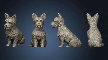 3D model harvey yorkshire terrier (STL)