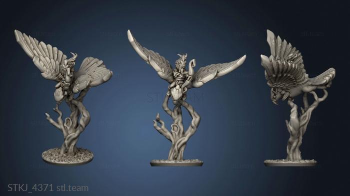 3D model hawk rider (STL)