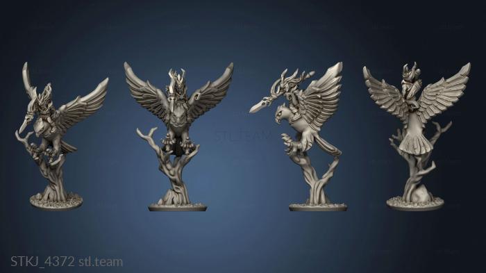 3D model hawk rider (STL)