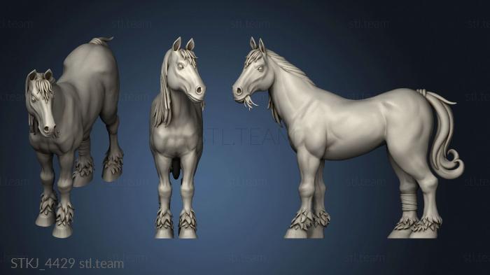 3D model Horse Trainer unsettle (STL)