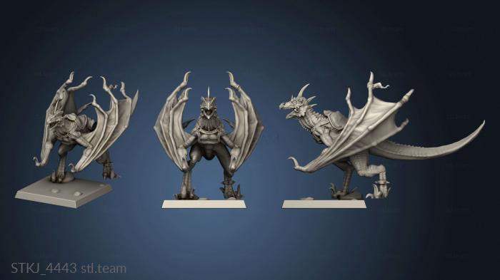 3D model Humble Dungeons and Monsters Wyvern rider (STL)