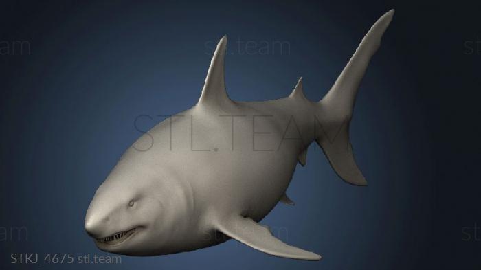 3D model Megalodon (STL)