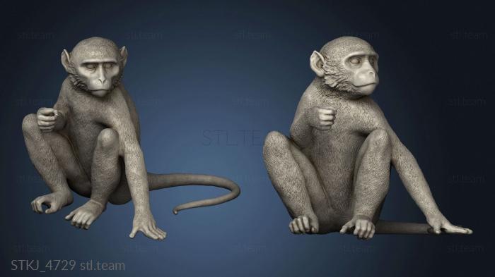 3D model monkey sitting (STL)