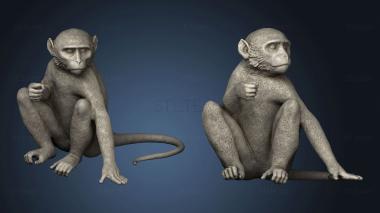 3D model monkey sitting (STL)