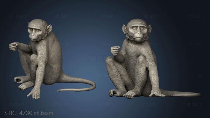 3D model monkey sitting (STL)