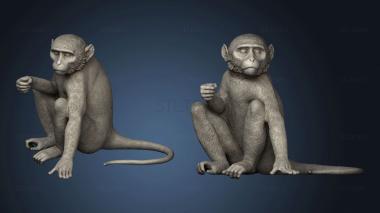 3D model monkey sitting (STL)