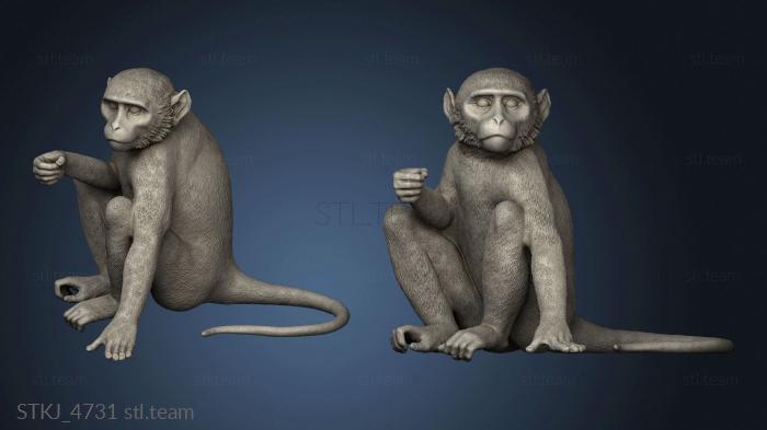 3D model monkey sitting (STL)