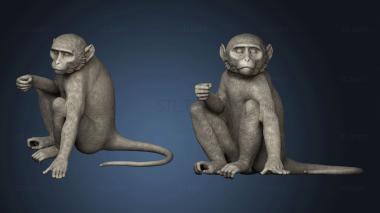 3D model monkey sitting (STL)