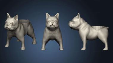 3D model moosie the bulldog loves air plants piddle (STL)