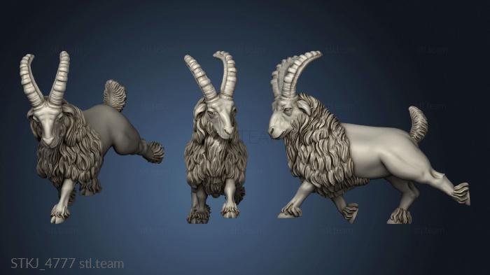 More Dwarf Goat Riders