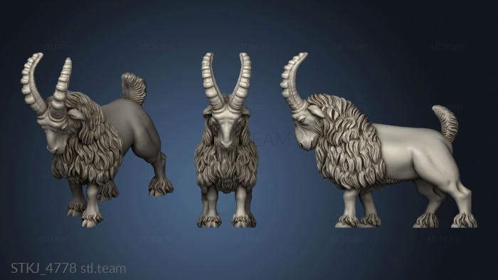 More Dwarf Goat Riders