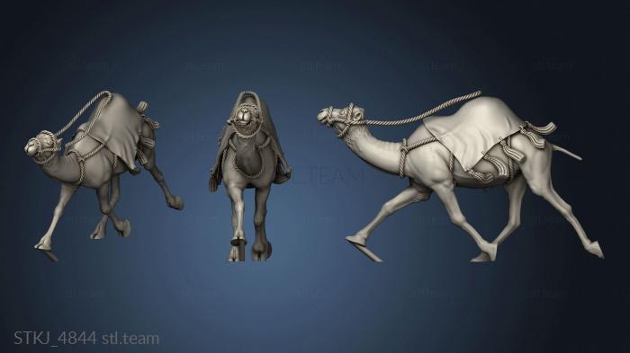 3D model Camel (STL)