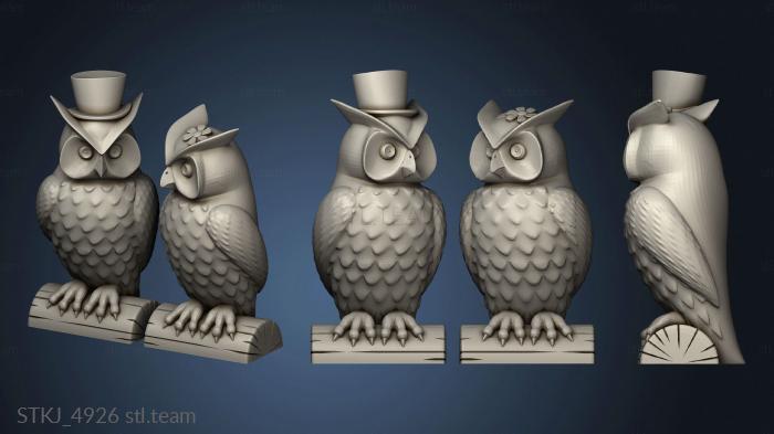 Owl Couple D Smooth Pair