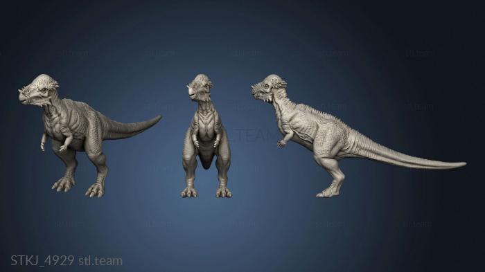 3D model Pachycephalosaurids (STL)