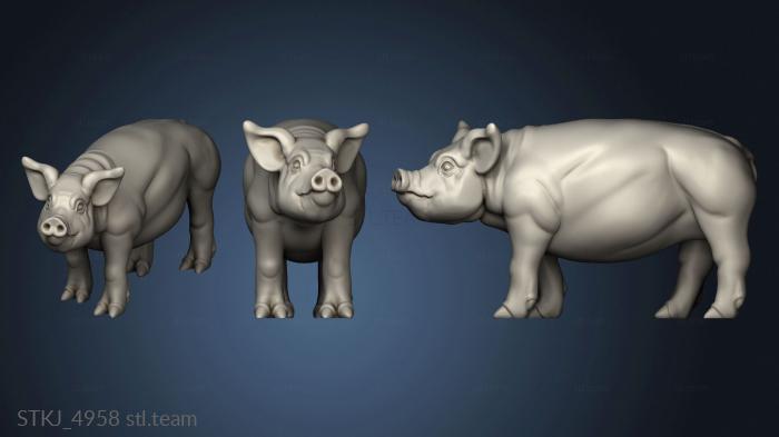 3D model PIG (STL)