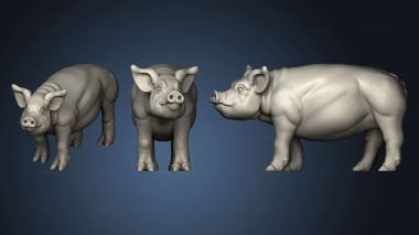 3D model PIG (STL)