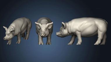 3D model PIG (STL)