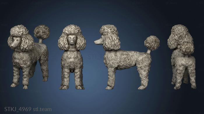 3D model poodle (STL)