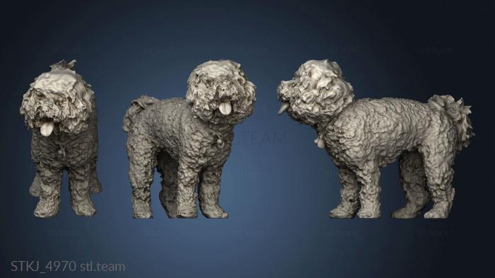 3D model poodle (STL)