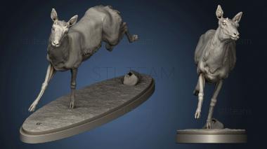 3D model pronghorn chase (STL)