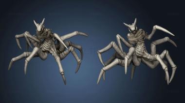 3D model Spider Leng (STL)