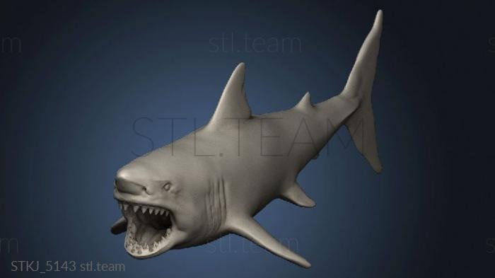 3D model shark (STL)