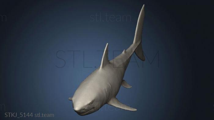 3D model shark (STL)