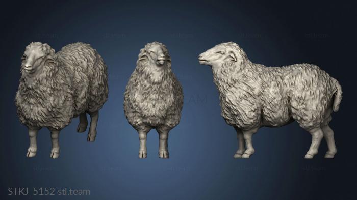 3D model Sheep (STL)