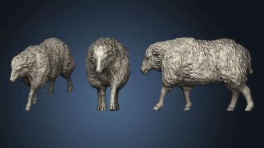 3D model Sheep (STL)