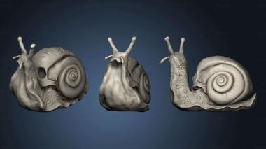 3D model skull snail  Si Ki Caracol (STL)