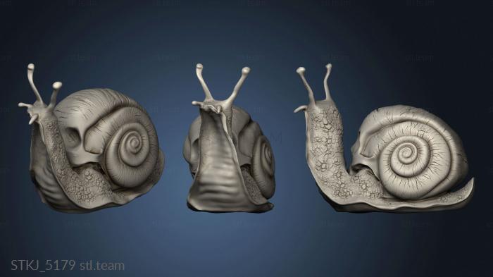 3D model skull snail eff Si Ki Caracol (STL)