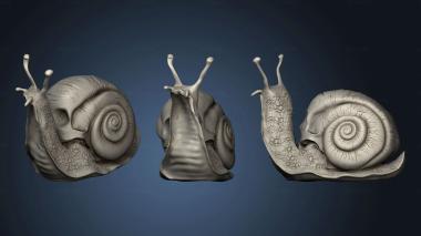 3D model skull snail eff Si Ki Caracol (STL)