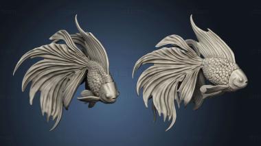 3D model Boris Vallejo Skywalker Fish Rope Up (STL)