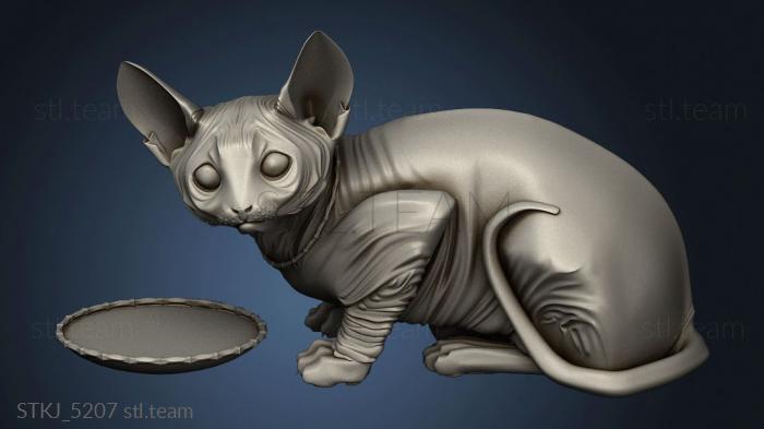 Sphynx Cat