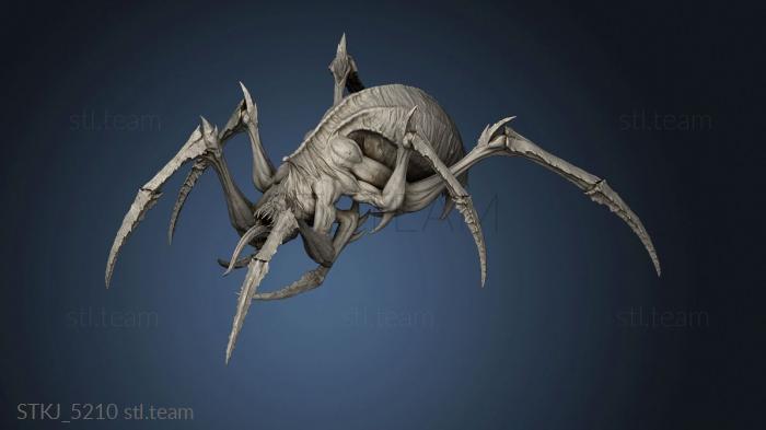 3D model Spider skin (STL)